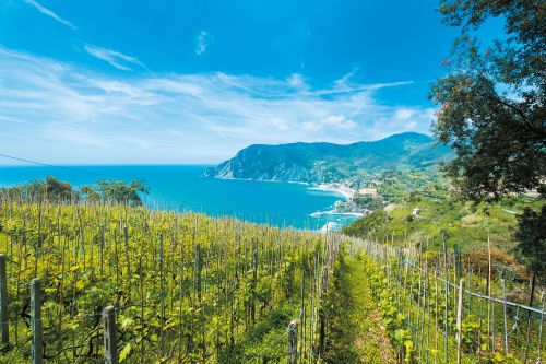 Photos du Voyage VENET : Superbe escapade aux Cinque Terre ( Du 1er au 4 Juin )