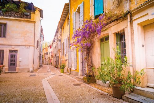 Photos du Voyage VENET : Fête des Bergers en Provence ( Du 25 au 27 Novembre 2023 )
