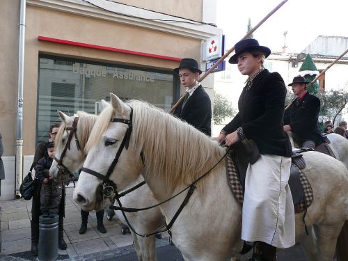 Photos du Voyage VENET : Fête des Bergers en Provence ( Du 25 au 27 Novembre 2023 )
