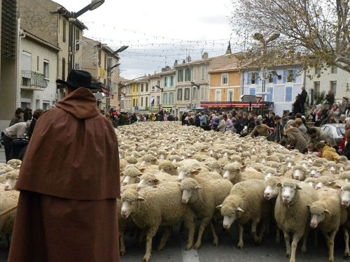 Photos du Voyage VENET : Fête des Bergers en Provence ( Du 25 au 27 Novembre 2023 )