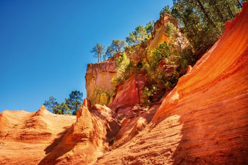 Photos du Voyage VENET : Escapade en Provence ( Du 2 au 6 Avril )