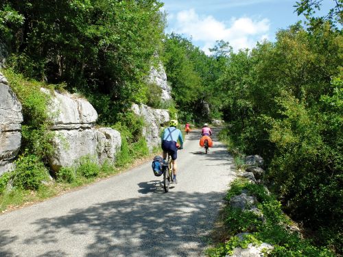 Photos du Voyage VENET : Escapade en Provence ( Du 2 au 6 Avril )