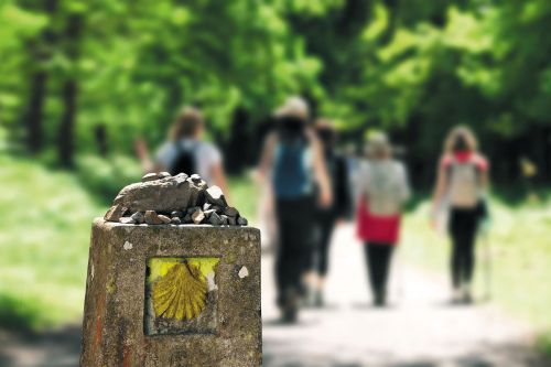 Photos du Voyage VENET : Rando Tourisme : Premiers pas sur les chemins de St Jacques ( Du 20 au 27 Avril )