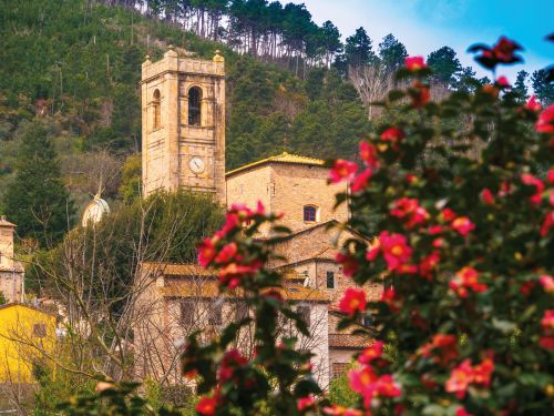 Photos du Voyage VENET : Fête des Camélias en Toscane ( Du 21 au 24 mars )