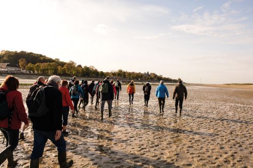 Photos du Voyage VENET : Randonnées en baie de somme et côte d'Opale ( Du 16 au 23 mai 2026 )