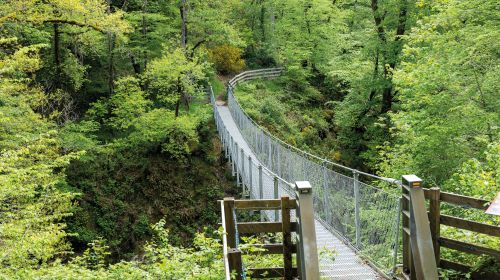 Photos du Voyage VENET : Randonnées en Corrèze ( Du 28 Juin au 2 juillet 2026 )