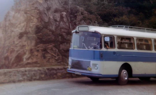 1968