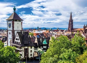 chrysantemes foret noire 02