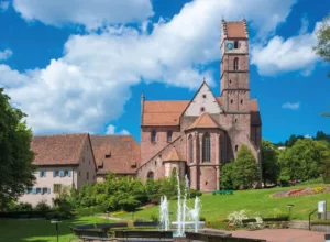 chrysantemes foret noire 03