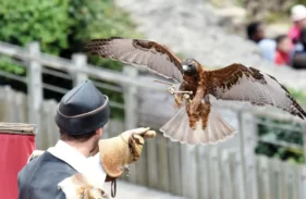 puy du fou marais poitevin 02