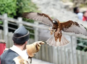 puy du fou marais poitevin 02