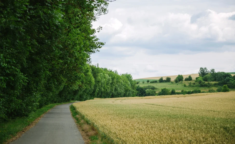 route des monts du lyonnais