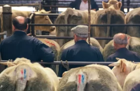 st christophe en brionnais