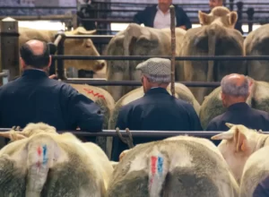 st christophe en brionnais